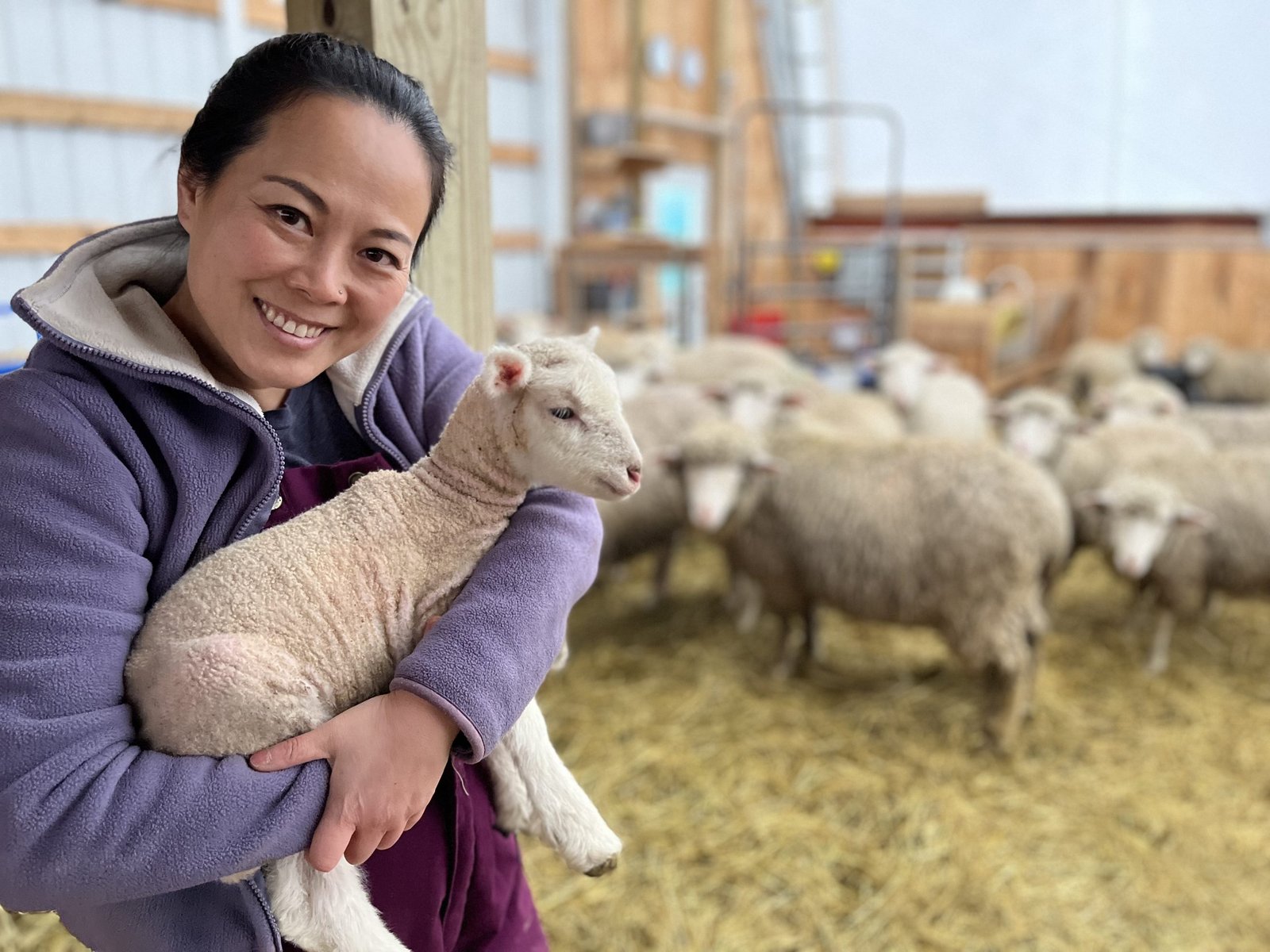 Anavery Fine Foods -- Dan Dan and baby lamb