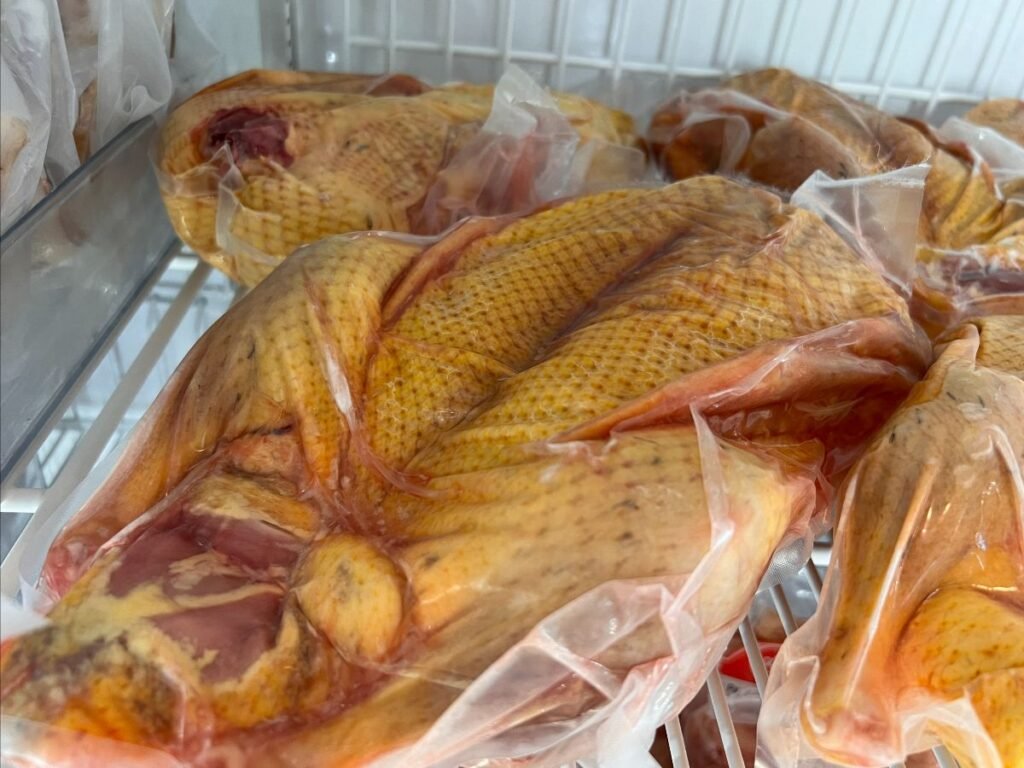 Pasture raised turkeys