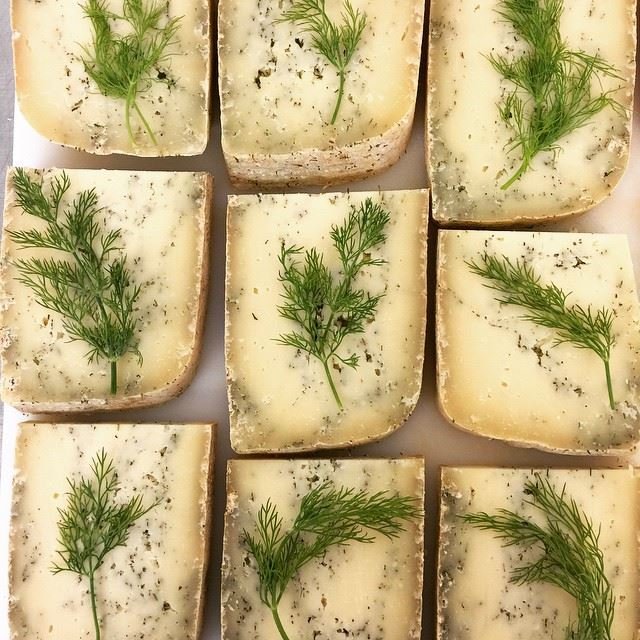 Boss-Mouse-Dill-Montasio