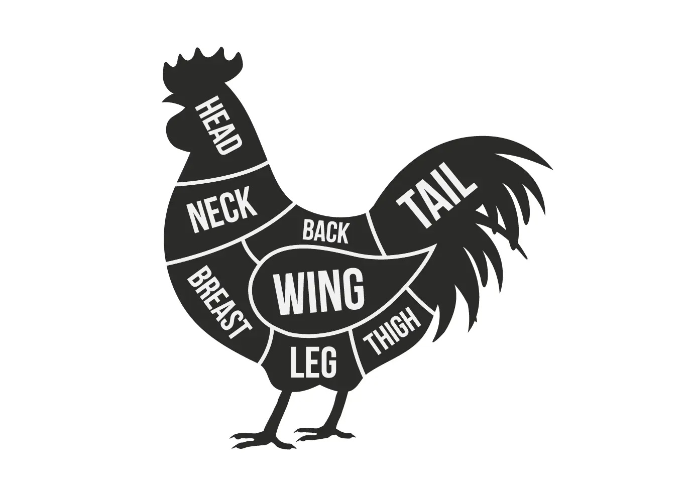 chicken butcher graphic